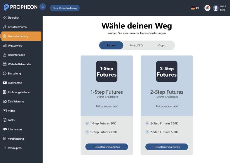 Dashboard Challenges, Demodaten